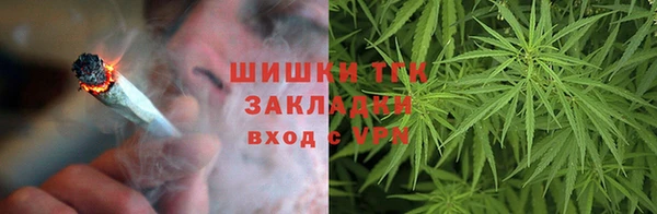 твердый Иннополис