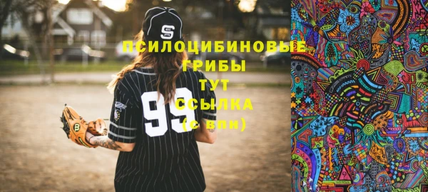 твердый Иннополис