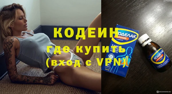 соль ск Каменка