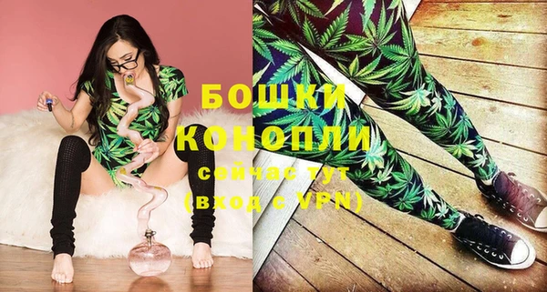 прущая мука Инта