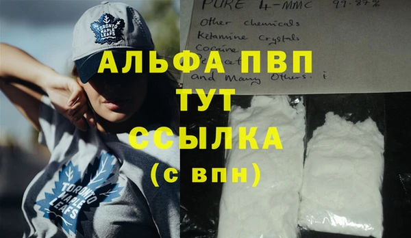 прущая мука Инта