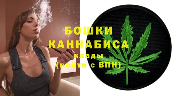 твердый Иннополис