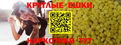 тгк Гусь-Хрустальный