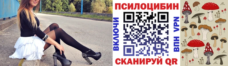 цены   Керчь  shop какой сайт  Галлюциногенные грибы MAGIC MUSHROOMS 